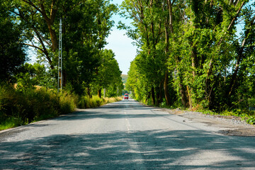 Road in the green park
