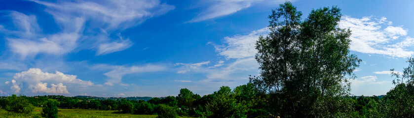 Green grass and blue sky