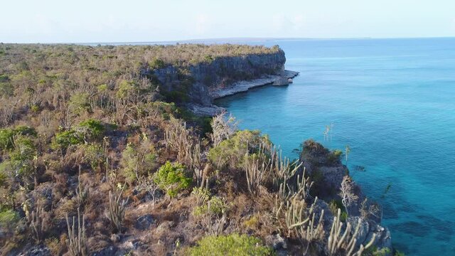 Aerial view jof agged coast in Bahia de las Aguilas. Dominican Republic