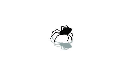 Spider Web On White Background. Halloween Design Elements  Spooky Scary Horror Decor Vector 