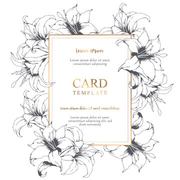 Vector floral elegant card with hand drawn grey lilies and leaves isolated on white background. Botanical design template for wedding invitation, card, brochure, cover