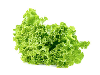 Lettuce leaf isolated on white background ,Green leaves pattern ,Salad ingredient