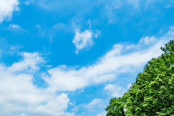 青空と雲