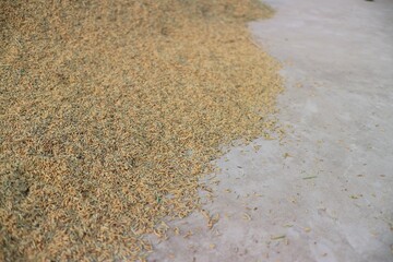 sand on the beach