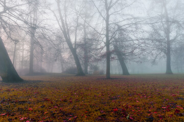 Misty morning in Kaivopuisto, a park in Helsinki city center, Finland