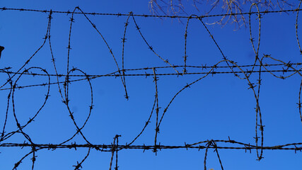 barbed wire fence