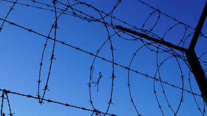 barbed wire fence