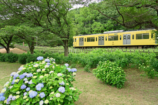 136 Best 西武新宿線 Images Stock Photos Vectors Adobe Stock