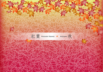 紅葉文様　背景イラスト　background