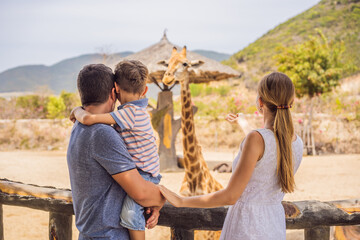 Happy mother, father and son watching and feeding giraffe in zoo. Happy family having fun with...
