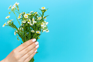 A woman's hand with a white manicure holds bouquet of flowers on a blue background, a view from the front, copy space.
