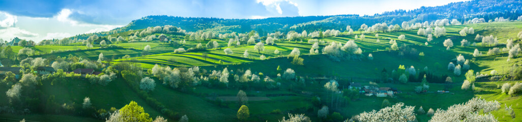 Spring Slovakia landscape. Nature fields with blooming cherries. Unique ecological land management. Polana region, Hrinova, Slovakia Europe. © Zedspider