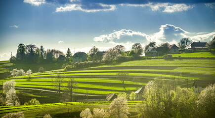 Spring Slovakia landscape. Nature fields with blooming cherries. Unique ecological land management. Polana region, Hrinova, Slovakia Europe. © Zedspider