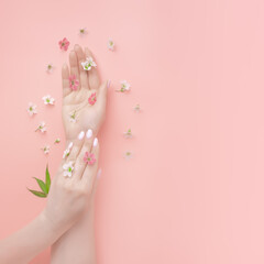 Obraz na płótnie Canvas Excellent woman hands and flowers lie on a pink background. Natural organic cosmetic care concept template mockup