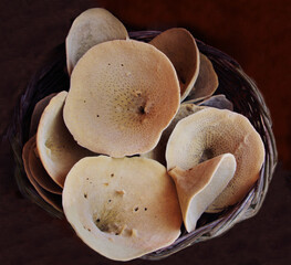 Sea sponges of different shapes and sizes sold at a small shop in Symi town, Symi island, Greece

