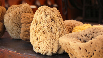 Sea sponges of different shapes and sizes sold at a small shop in Symi town, Symi island, Greece
