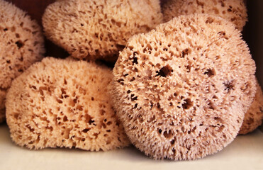 Sea sponges of different shapes and sizes sold at a small shop in Symi town, Symi island, Greece
