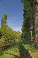 Baumallee