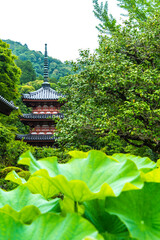 三室戸寺の三重塔