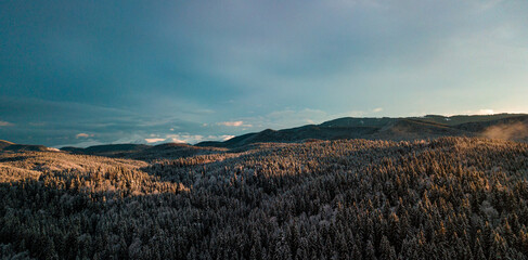 Carpathian mountains winter. Snow coniferous forest at sunset.