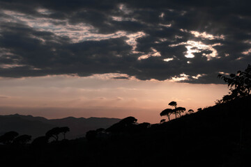 atardecer