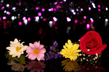 beautiful multi-colored flowers on a shiny background