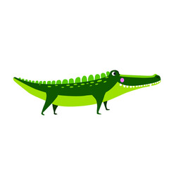 crocodile vector isolated on white background, children's illustration