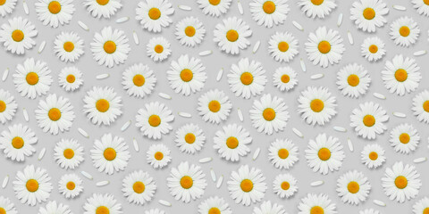 Camomile flower seamless texture
