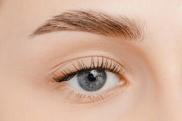 Obraz premium Young woman with beautiful eyebrows. Correction of brow hair