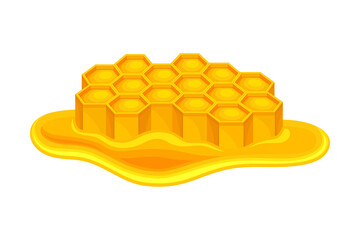 Honey omb with Hexagonal Wax Cells and Flowing Down Sticky Liquid Vector Illustration