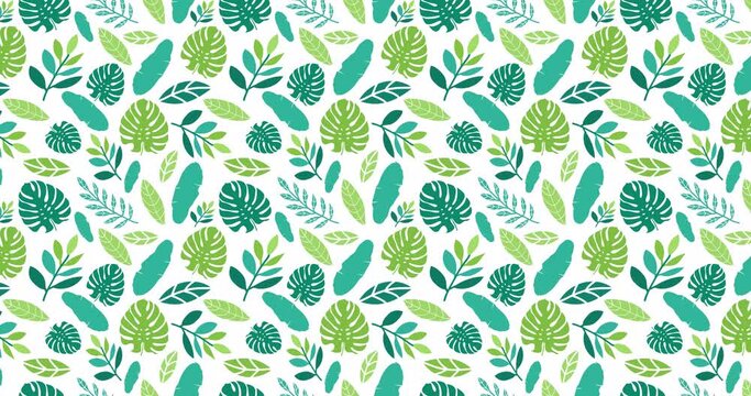Seamless pattern with tropical leaves on white background. Loop animation 4K