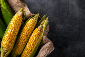 Corn cobs on burlap sack.