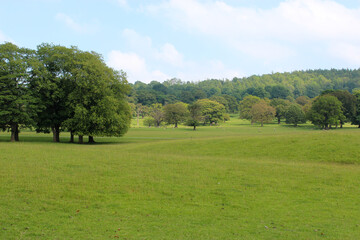 landscape of the Derbyshire Dales, Chatsworth House Estate in summer 