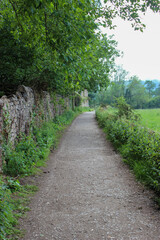 Fototapeta na wymiar path in the the Derbyshire Dales beside Chatsworth House 