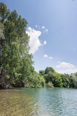 clear water and tall trees on green shore of lake at urban park, Milan, Italy