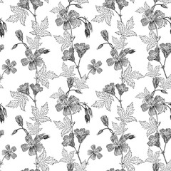 Botanical seamless pattern of summer medicinal plants. Meadow geranium flowers are drawn by hand liner on a white background. Isolated botanical flowers, leaves, twigs, buds. Design for fabric.