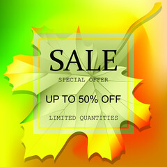 big seasonal sale, autumn