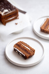 Delicious Chocolate Layer Cake on white background