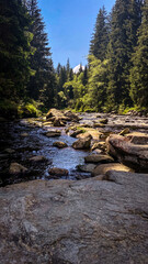 Sumava's river Vydra