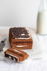 Delicious Chocolate Layer Cake on white background