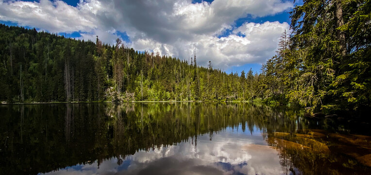 Prasily Lake In Sumava