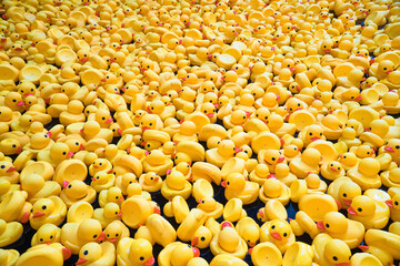 An army of rubber ducks invades our seas, with catastrophic consequences!