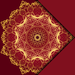 Mandala background. Vector illustration. For book cover