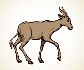 Antelope. Vector illustration