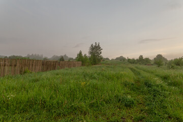 Peaceful scenery of grass field and nature just before the daybreak. Horizontal landscape photography.