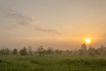 Naklejka na ściany i meble Magic and misty nature during the dawn. Horizontal landscape photography. 