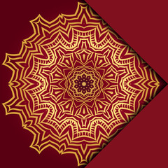 Mandala background. Vector illustration. For book cover