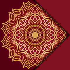 Mandala background. Vector illustration. For book cover