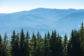 Picturesque mountain panoramic landscape with fir trees and mountain tops.