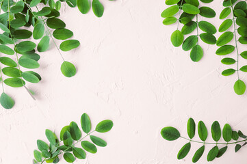 white cement quality background with green fresh leaves on the edges
